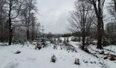 Tour Wandern Sainte-Ode - rando lavacherie 29/12/2020 - Photo 20