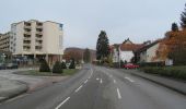 Tocht Te voet Gutsbezirk Reinhardswald - Weser-Diemel Höhenweg - Photo 6