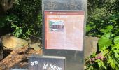 Trail Trail Baillif - Saint Robert  - Photo 1