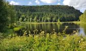 Tocht Elektrische fiets La Bresse - petit tour de la bresse - Photo 2