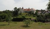 Tocht Te voet Neukirchen bei Sulzbach-Rosenberg - Rundweg Holnstein Blau - Photo 1