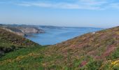 Randonnée Marche Plévenon - BOUCLE DEPUIS PLENEVON AVEC CAP FREHEL ET FORT LA LATTE - Photo 10