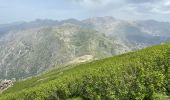 Tour Wandern Venaco - Petra Piana Vizzavona - Photo 12