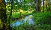 Tocht Stappen Onhaye - Balade de Sommière à Weillen - Photo 3