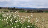 Trail Walking Lasserre-de-Prouille - Lasserre de prouilhe 17 kms - Photo 1