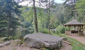 Tour Wandern Le Valtin - VOSGES 2023 - Sentier des Roches - Photo 15