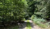 Trail Walking Libramont-Chevigny - Séviscourt - Photo 13