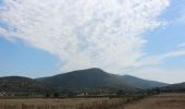 Tour Zu Fuß Grosseto - A1 San Rabano e Torre Uccellina - Photo 1