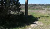 Trail Walking Mons - Mons SCLC 030421 avec photos pour indication - Photo 1