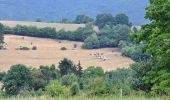 Tour Zu Fuß Stoumont - 8. Promenade du Rofthier - Photo 10