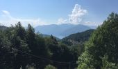 Trail On foot Dumenza - (SI D04) Rifugio Campiglio al Pradecolo - Diga di Creva (Luino) - Photo 7