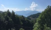 Tocht Te voet Dumenza - (SI D04) Rifugio Campiglio al Pradecolo - Diga di Creva (Luino) - Photo 7