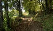 Tocht Stappen Gargilesse-Dampierre - La chaumerette pont des piles - Photo 5