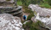 Trail Mountain bike Raon-l'Étape - sortie VTT du 19052019 Pierre d'appel - Photo 9