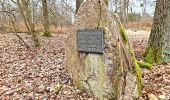 Tour Zu Fuß Rüdesheim am Rhein - Rundwanderweg Hirschkäfer - Photo 1