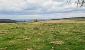 Trail Walking Saint-Sauves-d'Auvergne - Chalannes-stéle-charbonniere - Photo 2