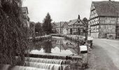 Tour Zu Fuß Gutsbezirk Kaufunger Wald - Großalmerode, Rundweg 18 - Photo 5