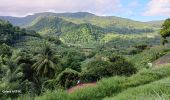 Tour Wandern Le Lorrain - Plateau Morne Capot en boucle via Fond Labour - Photo 1