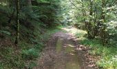 Trail Walking Metzeral - lac de schiessrothried par vallée de la wormsa  - Photo 8