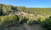 Tour Wandern Marguerittes - Le Télégraphe - La Combe des Bourguignons  - Photo 4