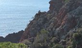 Trail Walking Saint-Raphaël - photo  - Photo 3