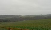 Trail Walking Anhée - maredsous par temps de pluie - Photo 14