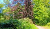 Percorso Marcia Esneux - promenade Deseaux Esneux  - Photo 1