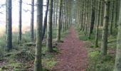 Tocht Stappen Jalhay - Hoegne-Polleur-Statte-Dolmen - Photo 19