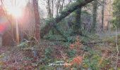 Trail Walking Rieupeyroux - rieupeyroux  petit parcours  - Photo 3