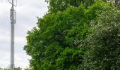 Percorso A piedi Lügde - Rundwanderweg A3 Rischenau - Schwalenberger Wald - Photo 10