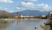 Percorso A piedi Pisa - Sentiero dei Navicelli - Photo 8