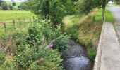 Trail Walking Houffalize - Cetturu 300725 - Photo 20