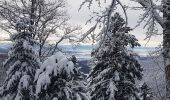 Tocht Stappen Lepuix - Rando raquettes Ballon d'Alsace depuis Saut de la Truite  - Photo 17