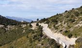 Trail Walking Gémenos - Col de L'Espigoulier, col de Bretagne, Dents de Roque Forcade A/R - Photo 17