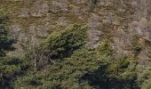 Trail Walking Digne-les-Bains - courbon la bigue 15kms  900m - Photo 4