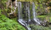 Excursión Senderismo Le Falgoux - Cascade du Biagun - Photo 2