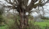 Trail Walking Hamoir - filot ac 4 - Photo 1