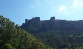 Tour Wandern Florac Trois Rivières - Panoramique des couronnes - Photo 3