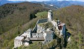 Tocht Te voet Gemeinde Hainfeld - Kaumberg - Araburg - Kollmannhof - Brennhof - zurück - Photo 6