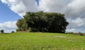 Randonnée Marche Incourt - Promenade du Tumulus (6,1km)  - Photo 11