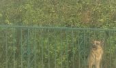 Trail Walking Chaumousey - bouzey  - Photo 1