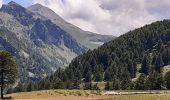 Randonnée Marche Jausiers - le lac des sagnes - Photo 19