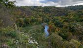 Trail Walking Dinant - Parc naturel Furfooz - Photo 16