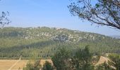 Trail Walking Roquefort-la-Bédoule - Roquefort la Bédoule - Photo 16