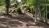 Trail Walking Herbeumont - L'Antrogne - Photo 5