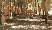 Excursión Senderismo Chambost-Allières - Chambost avec forêt des expériences et belvédère - Photo 9