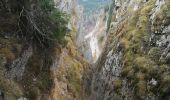 Tocht Stappen Autrans-Méaudre en Vercors - cabane de bave 2018 - Photo 3