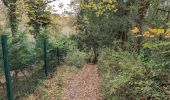 Tour Wandern Esvres - Esvres-sur-Indre - Veneuil Rouillers Hardellière - 24.5km 245m 5h20 (50mn) - 2024 11 23 - Photo 9