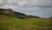 Tour Zu Fuß Strobl - Postalm Rundweg 3 - Photo 4