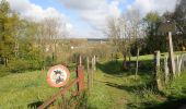 Tocht Stappen Chaumont-Gistoux - #210507 Dion-le-Mont, Pisselet et Louvranges - Photo 11